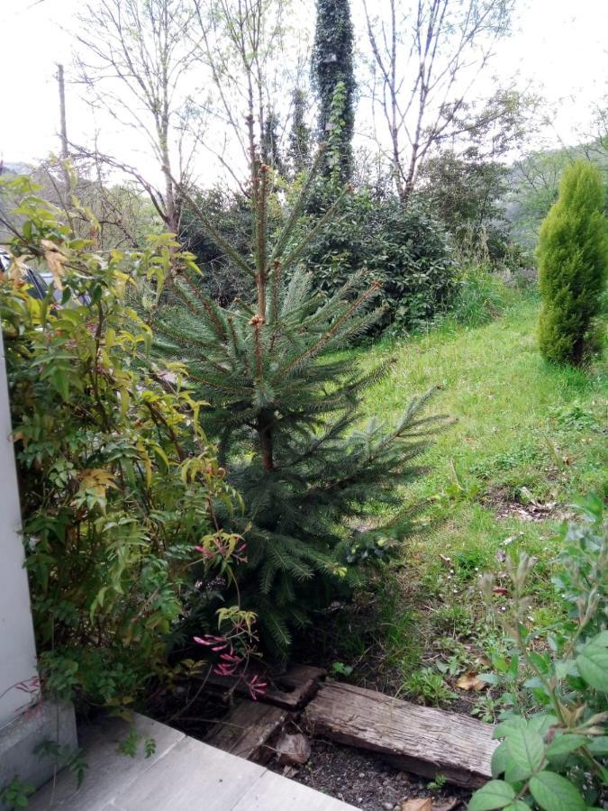 El Rinconin De Degu Villa San Juan de Parres Ngoại thất bức ảnh